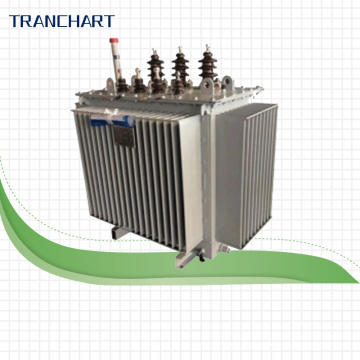 Oil Immersed Amorphous Alloy Transformer